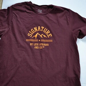 LEVIS Mountain Graphic  Tee